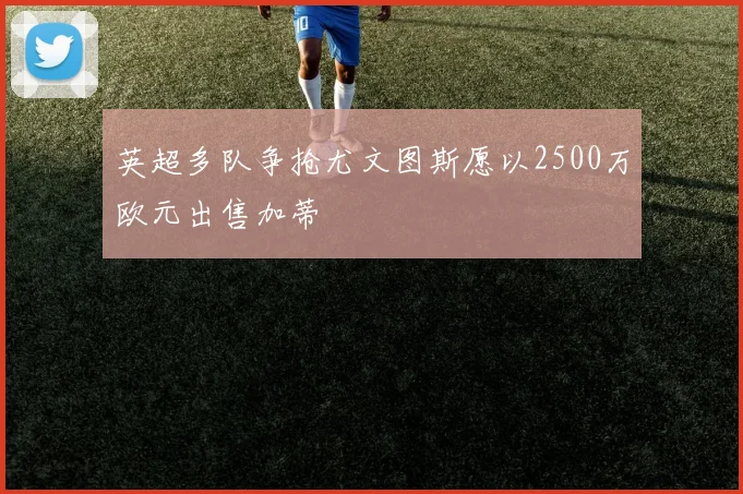 英超多队争抢尤文图斯愿以2500万欧元出售加蒂