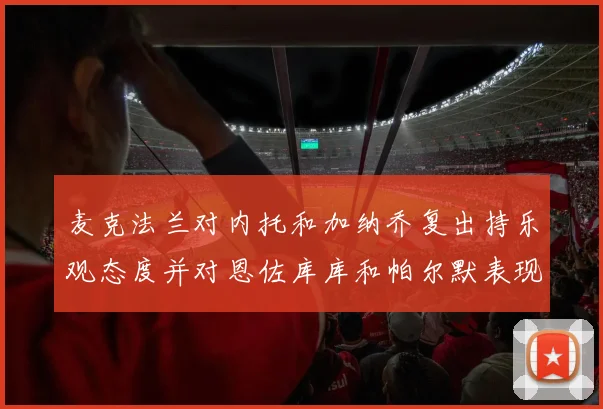 麦克法兰对内托和加纳乔复出持乐观态度并对恩佐库库和帕尔默表现表示满意